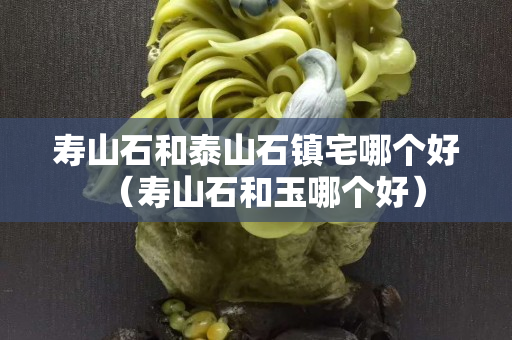 壽山石和泰山石鎮(zhèn)宅哪個好（壽山石和玉哪個好）