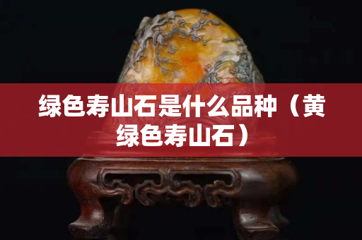 綠色壽山石是什么品種（黃綠色壽山石）