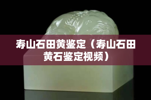 壽山石田黃鑒定（壽山石田黃石鑒定視頻）