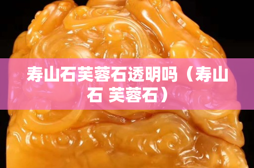 壽山石芙蓉石透明嗎（壽山石 芙蓉石）