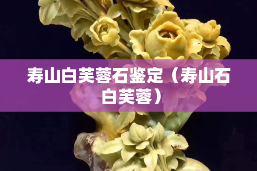 壽山白芙蓉石鑒定（壽山石 白芙蓉）