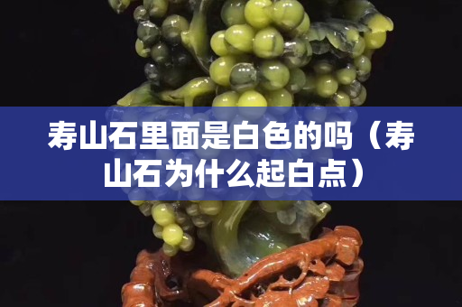 壽山石里面是白色的嗎（壽山石為什么起白點）