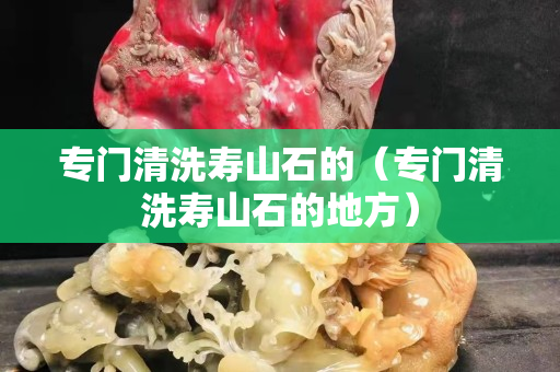 專門清洗壽山石的（專門清洗壽山石的地方）