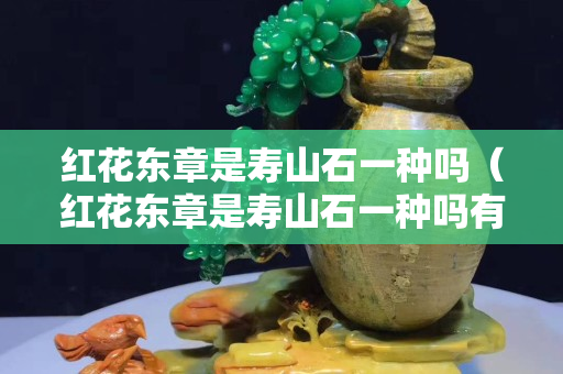 紅花東章是壽山石一種嗎（紅花東章是壽山石一種嗎有毒嗎）