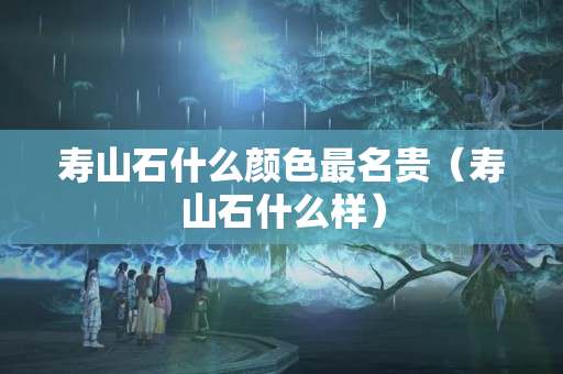 壽山石什么顏色最名貴（壽山石什么樣）