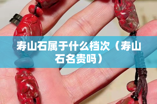 壽山石屬于什么檔次（壽山石名貴嗎）