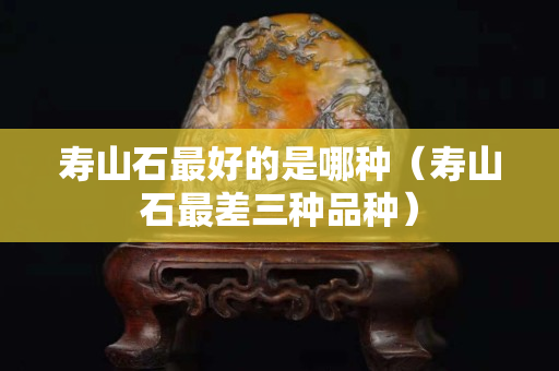 壽山石最好的是哪種（壽山石最差三種品種）