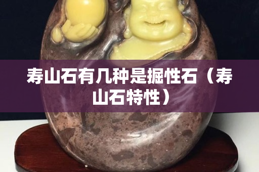 壽山石有幾種是掘性石（壽山石特性）