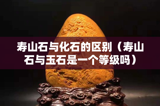 壽山石與化石的區別（壽山石與玉石是一個等級嗎）