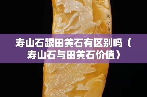 壽山石跟田黃石有區別嗎（壽山石與田黃石價值）