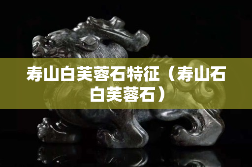 壽山白芙蓉石特征（壽山石白芙蓉石）