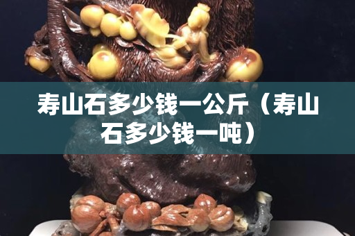 壽山石多少錢一公斤（壽山石多少錢一噸）