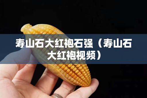 壽山石大紅袍石強（壽山石大紅袍視頻）