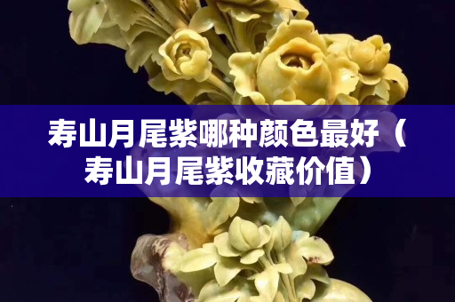壽山月尾紫哪種顏色最好（壽山月尾紫收藏價(jià)值）