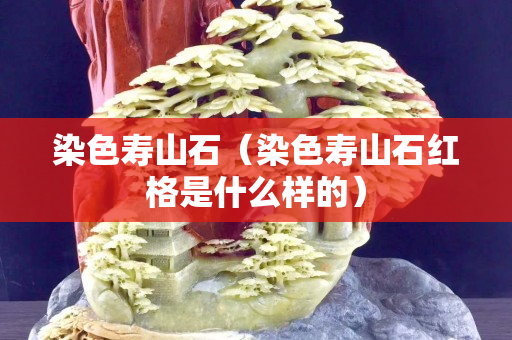染色壽山石（染色壽山石紅格是什么樣的）