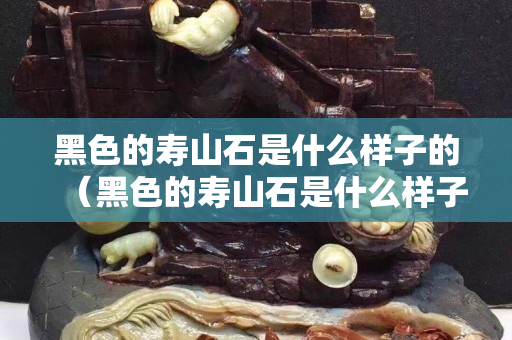黑色的壽山石是什么樣子的（黑色的壽山石是什么樣子的呢）