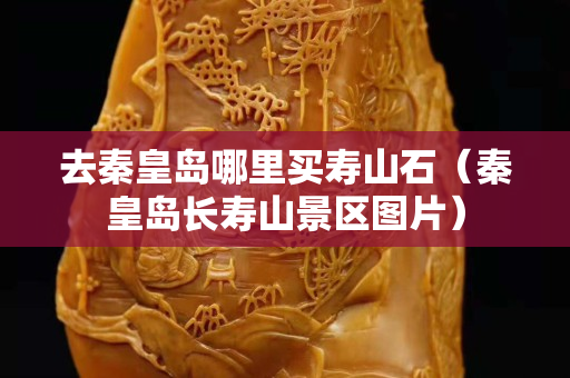 去秦皇島哪里買壽山石（秦皇島長壽山景區圖片）