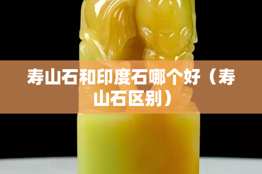 壽山石和印度石哪個好（壽山石區別）