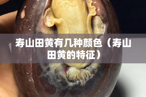壽山田黃有幾種顏色（壽山田黃的特征）