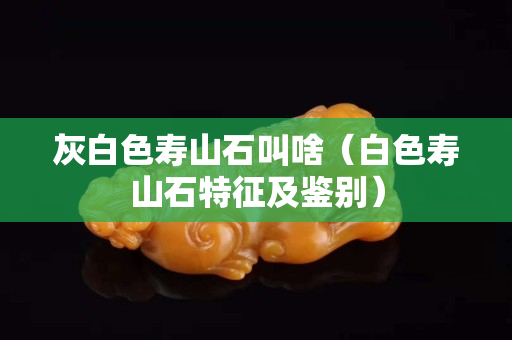 灰白色壽山石叫啥（白色壽山石特征及鑒別）