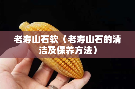 老壽山石軟（老壽山石的清潔及保養方法）