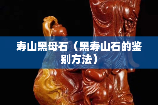 壽山黑母石（黑壽山石的鑒別方法）