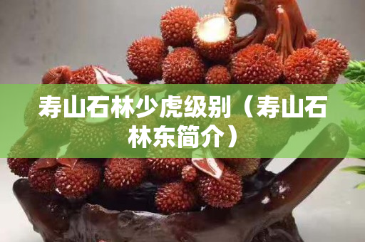 壽山石林少虎級別（壽山石林東簡介）