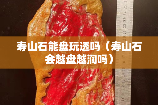 壽山石能盤玩透嗎（壽山石會越盤越潤嗎）