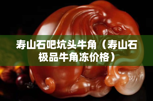 壽山石吧坑頭牛角（壽山石極品牛角凍價格）