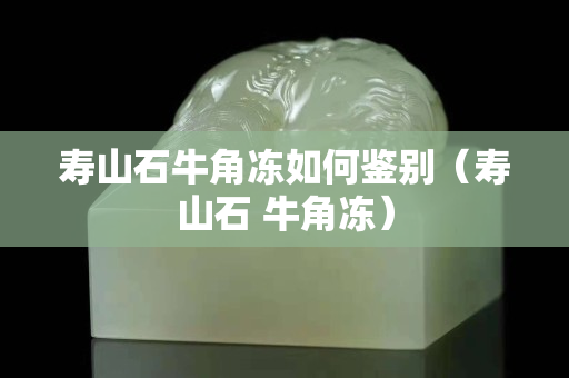 壽山石牛角凍如何鑒別（壽山石 牛角凍）
