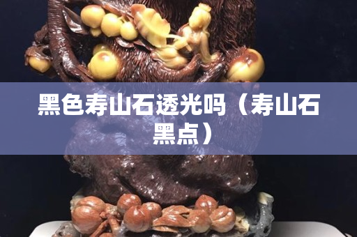 黑色壽山石透光嗎（壽山石 黑點）