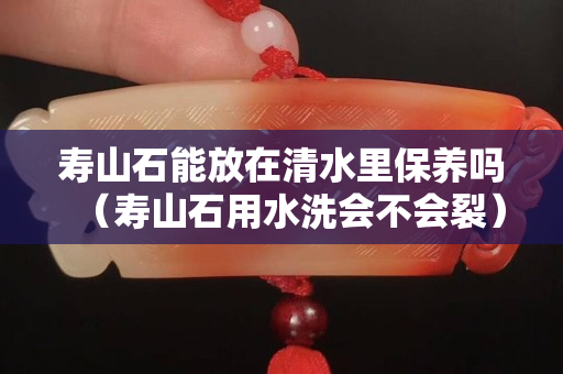 壽山石能放在清水里保養嗎（壽山石用水洗會不會裂）