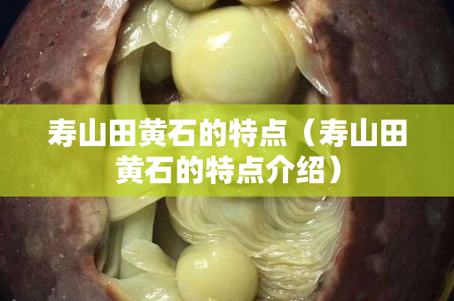 壽山田黃石的特點（壽山田黃石的特點介紹）