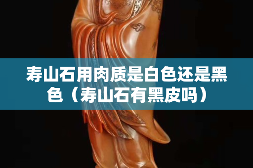 壽山石用肉質(zhì)是白色還是黑色（壽山石有黑皮嗎）