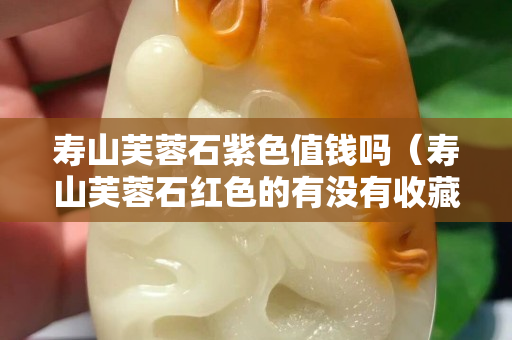 壽山芙蓉石紫色值錢嗎（壽山芙蓉石紅色的有沒有收藏價(jià)值？）