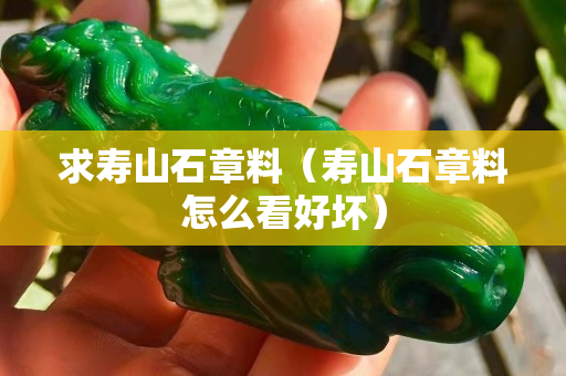求壽山石章料（壽山石章料怎么看好壞）
