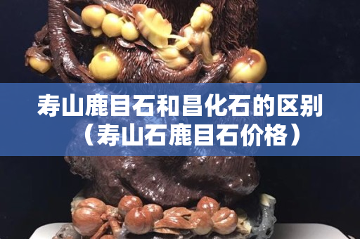 壽山鹿目石和昌化石的區別（壽山石鹿目石價格）