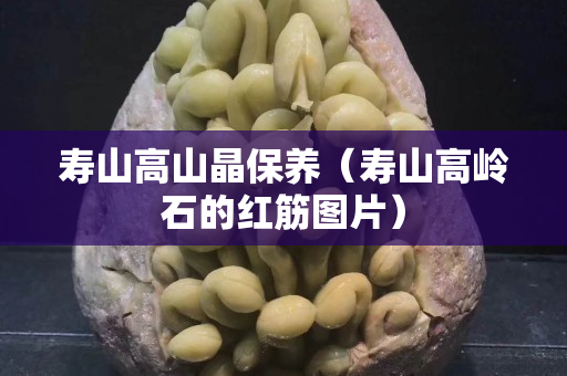 壽山高山晶保養（壽山高嶺石的紅筋圖片）