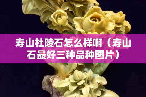 壽山杜陵石怎么樣啊（壽山石最好三種品種圖片）