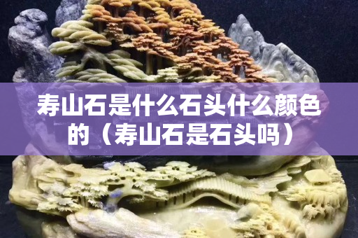 壽山石是什么石頭什么顏色的（壽山石是石頭嗎）