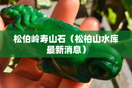 松伯嶺壽山石（松柏山水庫最新消息）