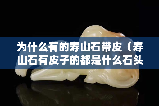 為什么有的壽山石帶皮（壽山石有皮子的都是什么石頭）