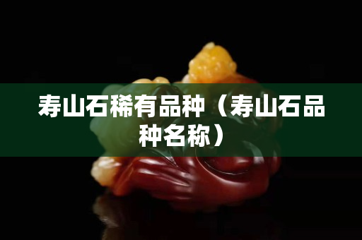 壽山石稀有品種（壽山石品種名稱）