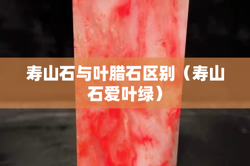 壽山石與葉臘石區別（壽山石愛葉綠）