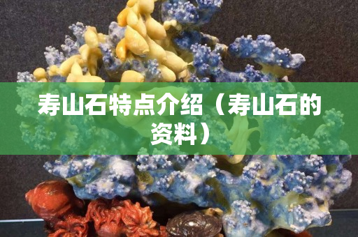 壽山石特點介紹（壽山石的資料）