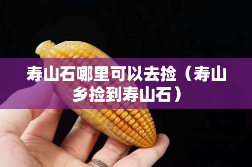 壽山石哪里可以去撿（壽山鄉撿到壽山石）