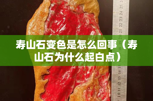 壽山石變色是怎么回事（壽山石為什么起白點(diǎn)）