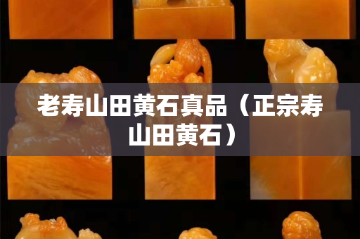 老壽山田黃石真品（正宗壽山田黃石）