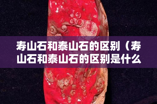 壽山石和泰山石的區(qū)別（壽山石和泰山石的區(qū)別是什么）