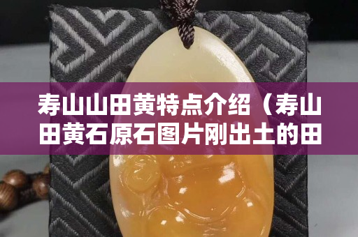 壽山山田黃特點介紹（壽山田黃石原石圖片剛出土的田黃）